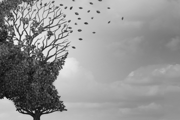 Alzheimer's and. Dementia